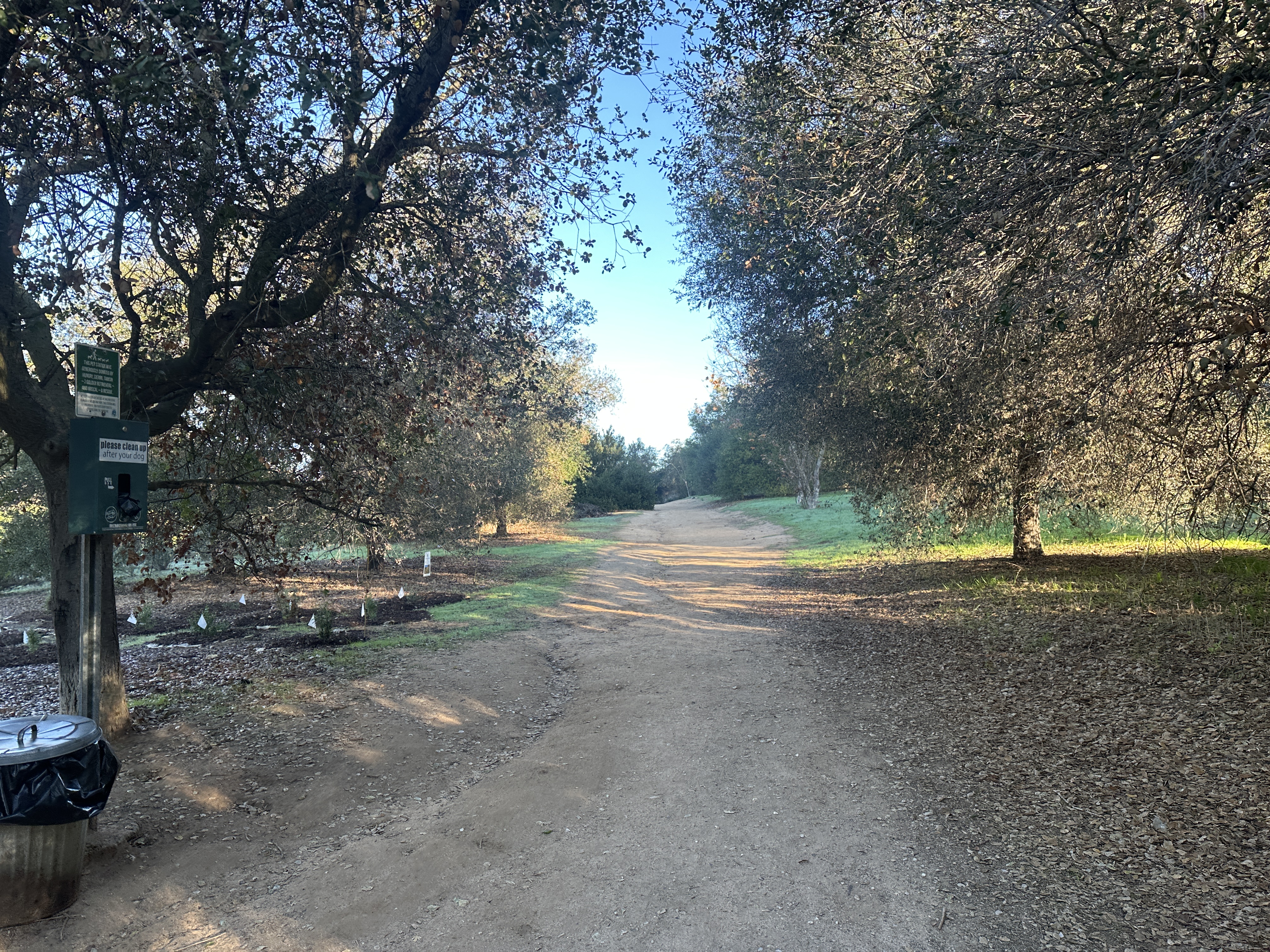 Los Jilgueros Preserve Dirt path surrounded by oak trees on either side and blue sky in the distance